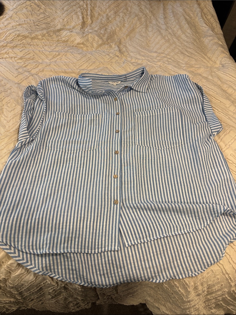 Cavalini Blue & White Striped Button-Down Shirt